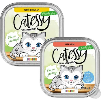 Krmivo pro kočku 32ks-32x100g Catessy Junior kousky v omáčce Mix (2 druhy) vlhké krmivo pro kočky