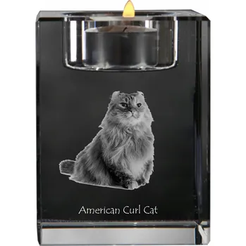 Svícen Americký twist - svícen s fotografií koně, křišťálový podstavec na svíčku