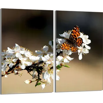 Kuchyňské prkénko Krájecí deska TMK ArtDeko sklo 2 ks