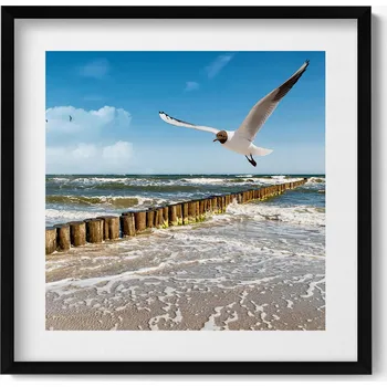 Obraz Dekorativní nástěnný obraz s černým rámem a grafikou loft Pták nad mořem 50x50 cm