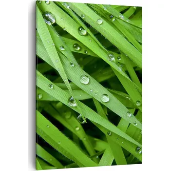 Obraz Obraz na plátně do obýváku, ložnice 50x70 příroda, obrazy na zeď canvas