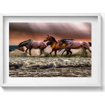 Obraz Dekorativní obraz v bílém rámu do obýváku Koně uhánějící ve vodě 70x50 cm