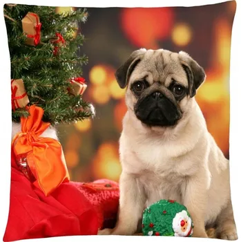 Polštář POLŠTÁŘ VÁNOČNÍ 40*40 JAKO DÁREK