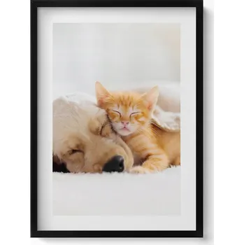 Obraz Ozdobný nástěnný obraz v černém rámu Spící zvířata kočka a pes 50x70 cm