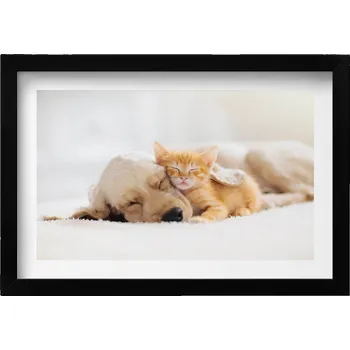 Obraz Dekorace obraz s grafikou v krásném rámu Spící zvířata kočka a pes 30x20 cm