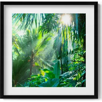 Obraz Dekorativní obraz v rámu do obýváku Zelená džungle plná rostlin 50x50 cm