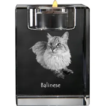 Svícen Balijský - svícen s motivem koně, křišťálový podstavec na čajovou svíčku,