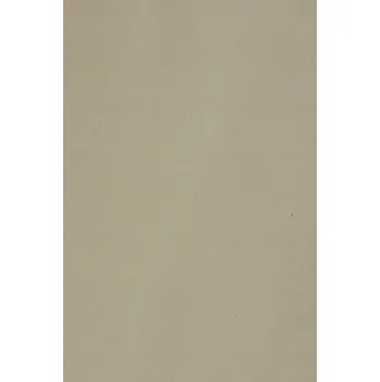 Kancelářský papír Barevný kartonový papír 250g šedý - 10 listů formátu SRA3