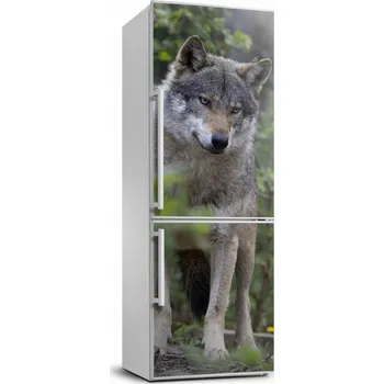 Fototapeta Samolepicí samolepící na ledničku Vlk v lese 70x190