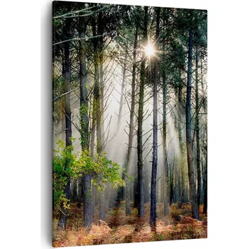 Obraz Obraz na plátně do obýváku ložnice 50x70 les foto obrazy na zeď canvas