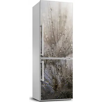 Fototapeta Samolepková nálepka fototapeta lednička Pampeliška