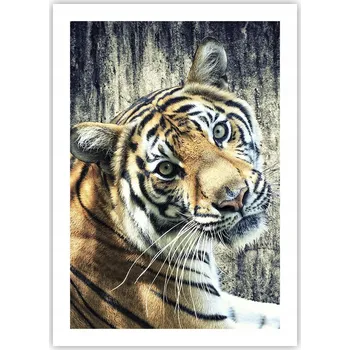 Obraz Plakát bez rámu do obývacího pokoje ložnice 50x70 zvířata moderní módní obraz