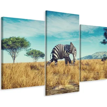 Obraz Obraz Triptych ČERNO-BÍLÝ Slon Zvíře 3D 90x60