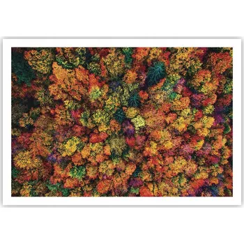 Obraz Plakát na zeď bez rámu 100x70 krajina obraz plakáty do obývacího pokoje ložnice