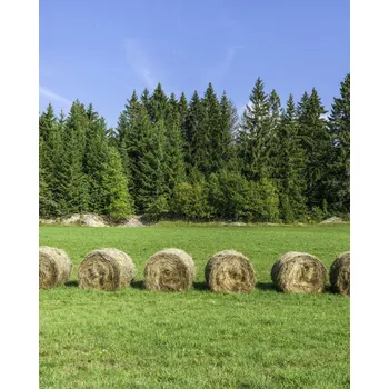 Obraz Plakát Stohy sena na travnatém poli bez rámu 40 x 50 cm