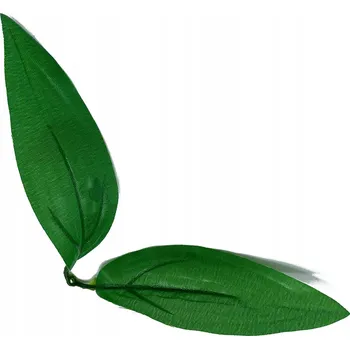 Obraz 10x LISTY k mýdlovým květinám, dlouhé listy jako doplněk