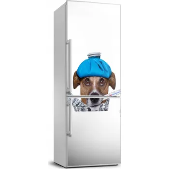 Fototapeta Foto Samolepka na ledničku nebo zeď - Nemocný pes 70x190 cm