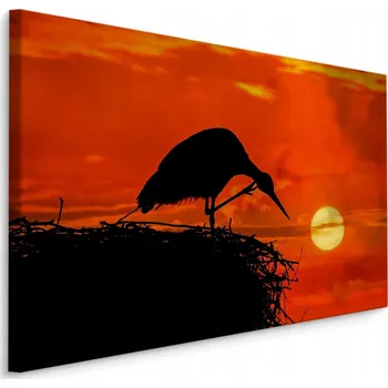 Obraz Obraz pták hnízdo západ slunce do jídelny 70x50