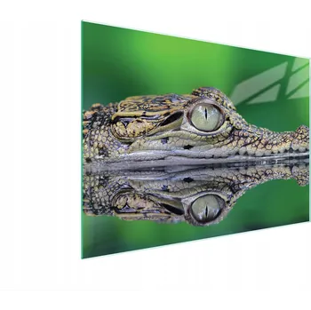 Kuchyňské prkénko Krájecí deska TMK ArtDeko sklo 1 ks