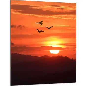 Kuchyňské prkénko Krájecí deska TMK ArtDeko sklo 1 ks