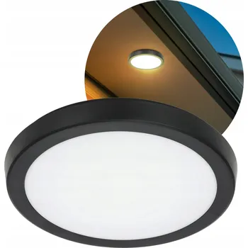 Stropní Svítidlo LED Stropní Svítidlo 24W Nastavitelná Barva Kulaté Přisazené Černé