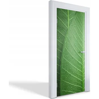 Fototapeta Ozdobná samolepka na dveře, nábytek, skříň Zelené listy s kapkami 85x205 cm