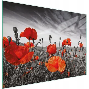 Kuchyňské prkénko Krájecí deska TMK ArtDeko sklo 2 ks