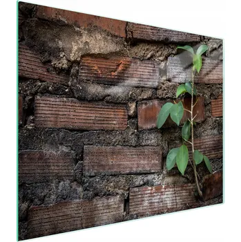 Kuchyňské prkénko Krájecí deska TMK ArtDeko sklo 1 ks