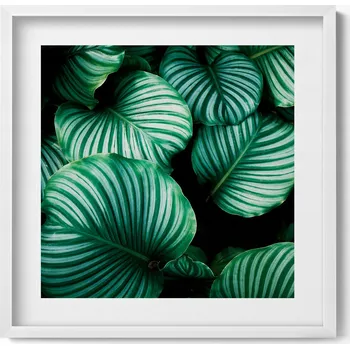 Obraz Dekorativní obraz na zeď v rámu s grafikou Velké zelené listy 50x50 cm