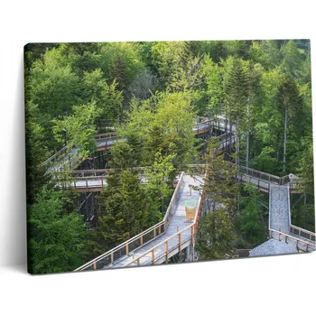 Obraz Obraz Na Plátně Do Předsíně Nástěnná Dekorace Stezka v Krynici Zdroji