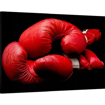 Obraz Velký obraz do obýváku 120x80 sport moderní fotoobraz na plátně obrazy