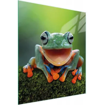 Kuchyňské prkénko Krájecí deska TMK ArtDeko sklo 1 ks