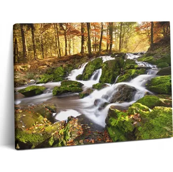Obraz Fotoobraz na plátně Ekologický proud v podzimním lese