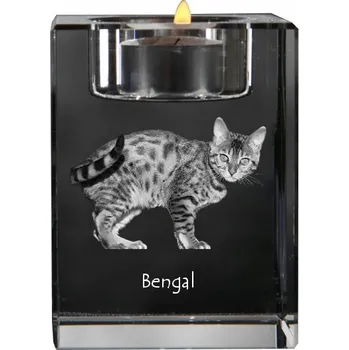 Svícen Bengalski - svícen s fotografií koně, křišťálový podstavec na čajovou svíčku