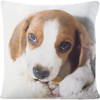 Povlak na polštářek Dekorační povlak na polštář Eurofirany 40 x 40 cm