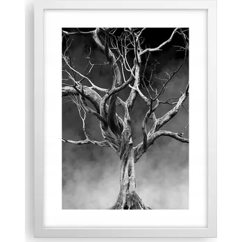 Obraz Obraz plakát v bílém rámu do obýváku 30x40 strom foto plakáty na zeď