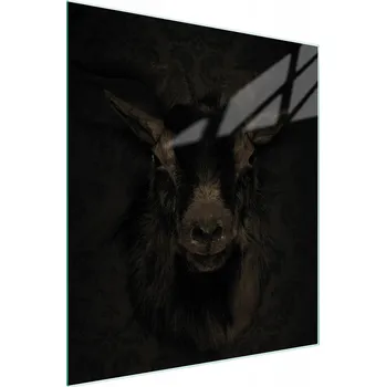 Kuchyňské prkénko Krájecí deska TMK ArtDeko sklo 1 ks