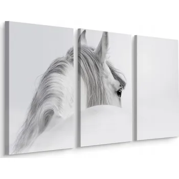 Obraz Obraz Tryptych Bílý KŮŇ v Mlze Příroda 3D 60x40