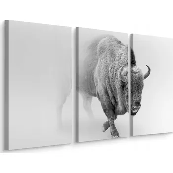 Obraz Obraz Triptych Šedý BIZON v Mlze Dekor 3D 60x40