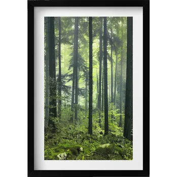 Obraz Obraz s rámem a grafikou na zeď Krajina stromů a rostlin lesa 40x60 cm