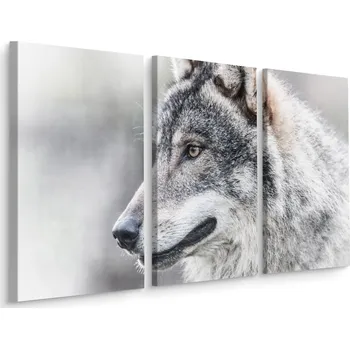Obraz Obraz Tryptych Hlava VLKA Zblízka Příroda 60x40