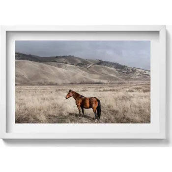 Obraz Dekorativní nástěnný obraz v rámu s grafikou Kůň – hřebec v trávě 60x40 cm
