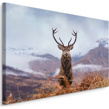 Obraz Obraz canvas zimní sníh jelen hory mraky 70x50