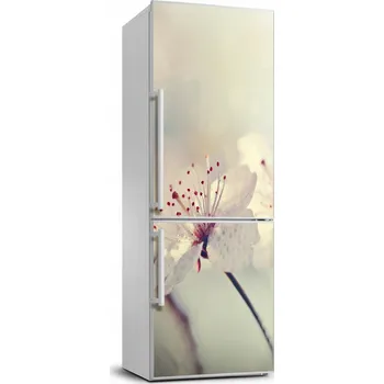 Fototapeta Samolepicí samolepící na ledničku Květy třešní 70x190