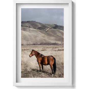 Obraz Nástěnný dekorativní obraz v rámu s grafikou Kůň – divoký hřebec v trávě 40x60 cm