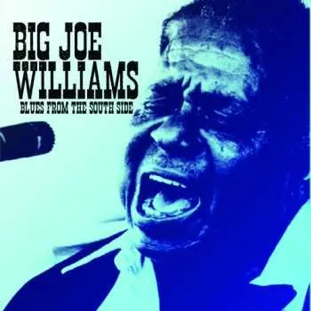 Zahraniční hudba CD Big Joe Williams: Blues From The South Side 2025