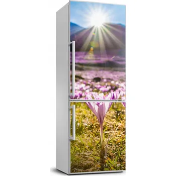 Fototapeta Samolepící Samolepka na ledničku Krokusy v horách