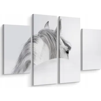 Obraz Obraz Čtyřdílný Andaluský Kůň v Mlze 3D 80x60 cm