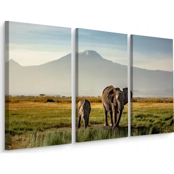Obraz Obraz Triptych SLONI Hora Kilimandžáro 3D 60x40