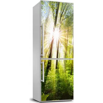 Fototapeta Samolepka na ledničku Slunce v lese 70x190 cm